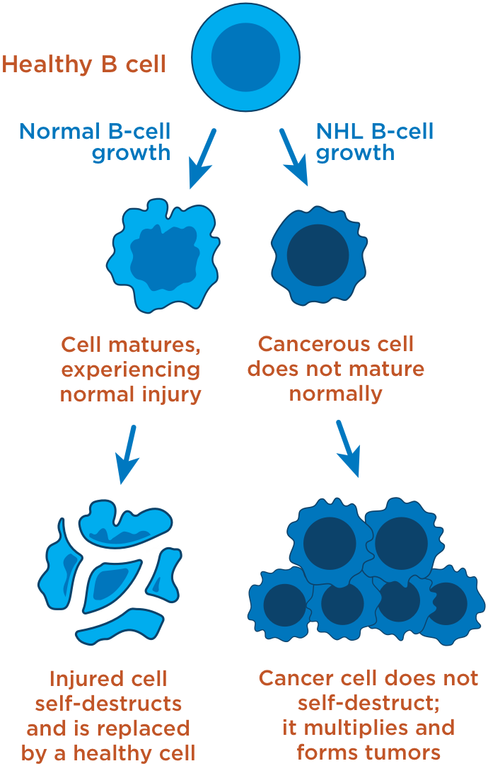 NHL & CLL Treatment Option RIABNI™ (rituximabarrx)