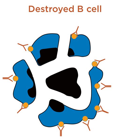 How does rituximab work